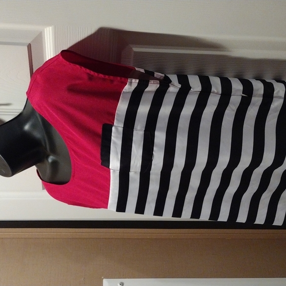 The Limited Mini Dress XS - Picture 3 of 6